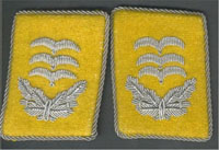 WW2 Luftwaffe Collar Tabs
